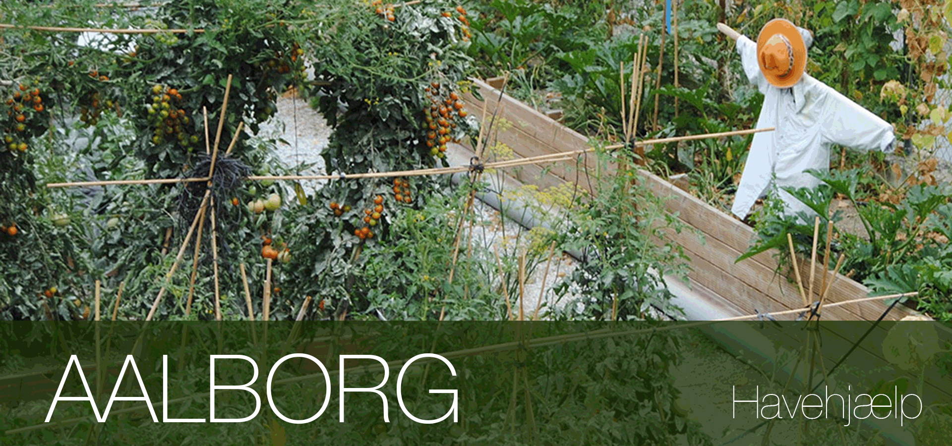 Havearbejde lokal havehjælp Aalborg