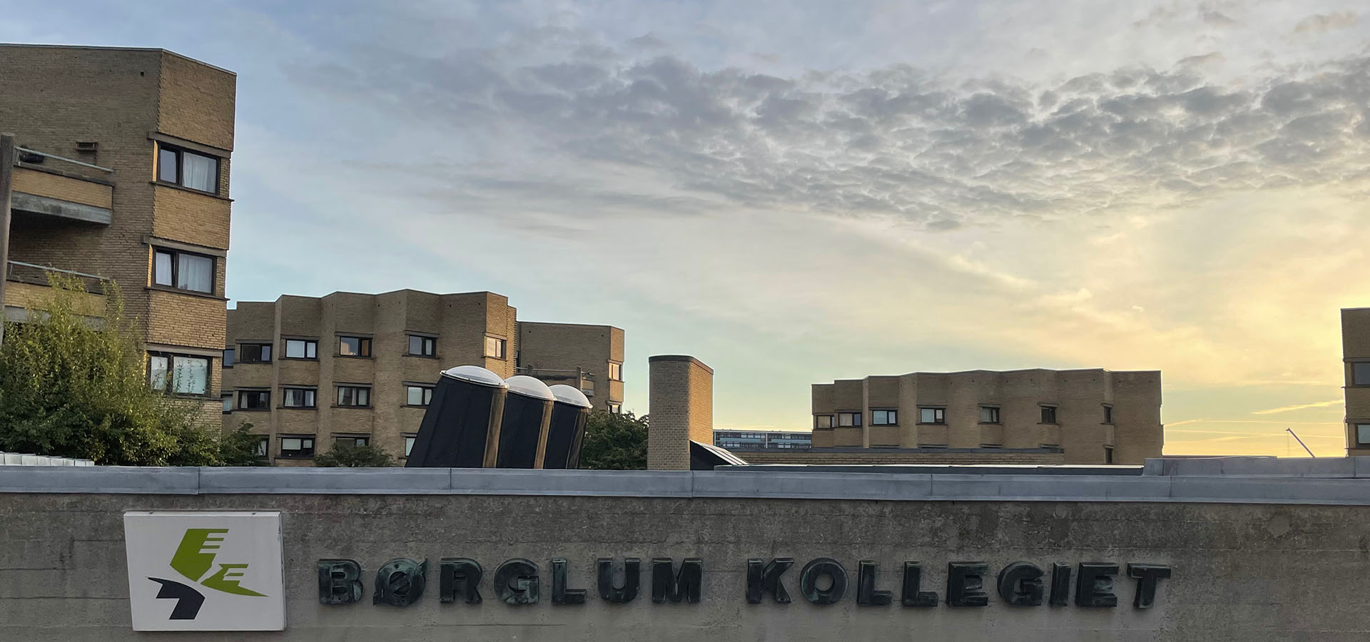 Aarhus Nord havemand, havehjælp