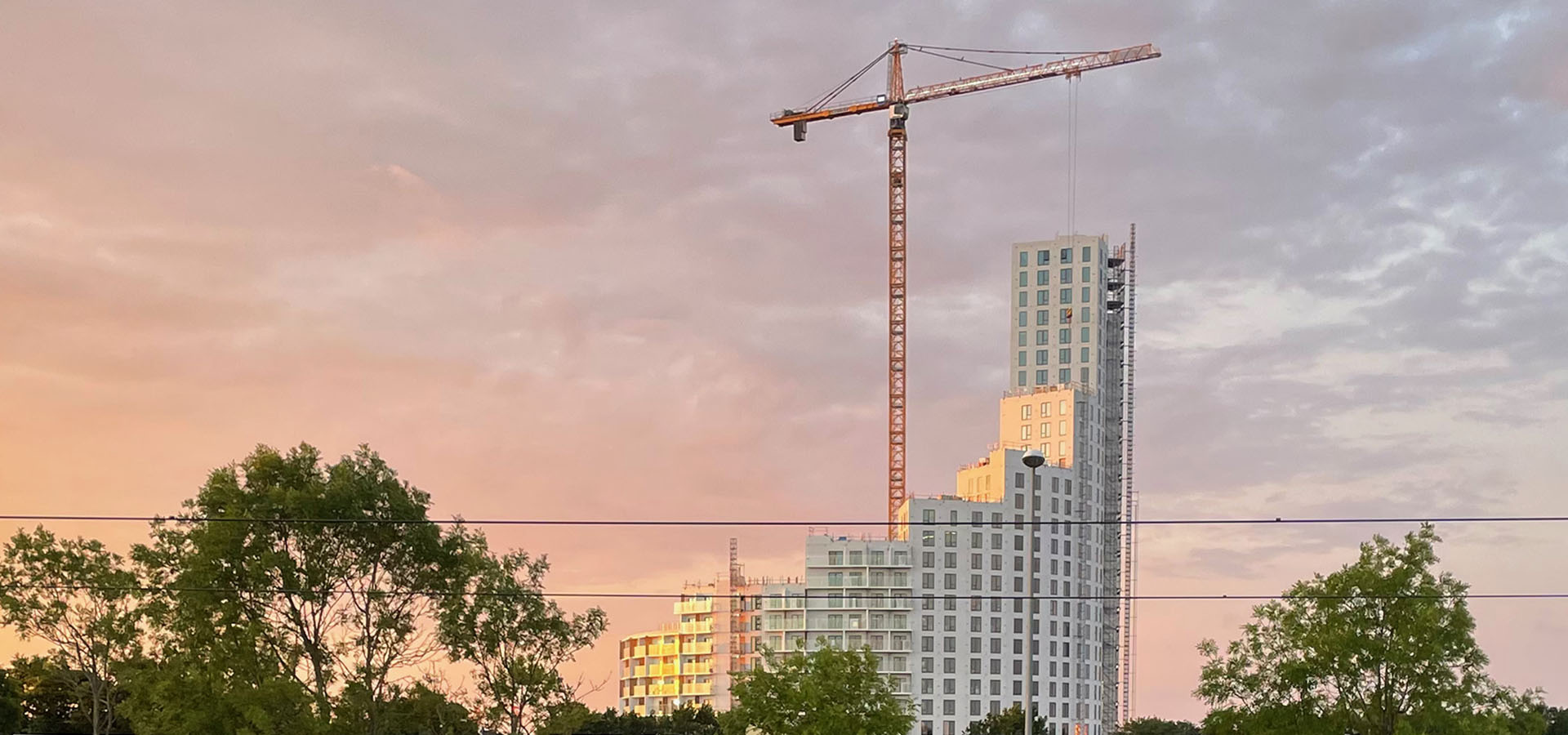 Aarhus Nord havemand, havehjælp
