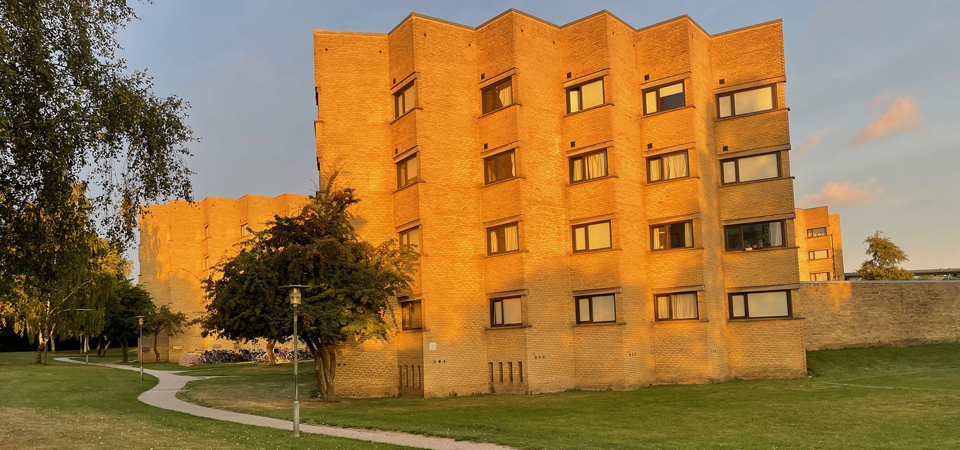Aarhus Nord havemand, havehjælp