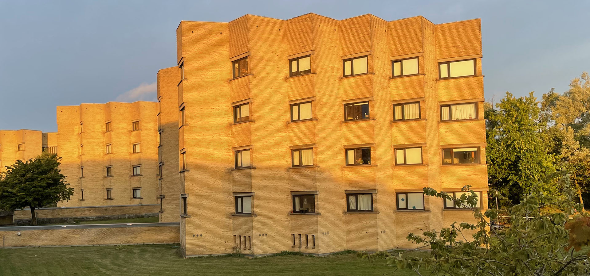 Aarhus Nord havemand, havehjælp