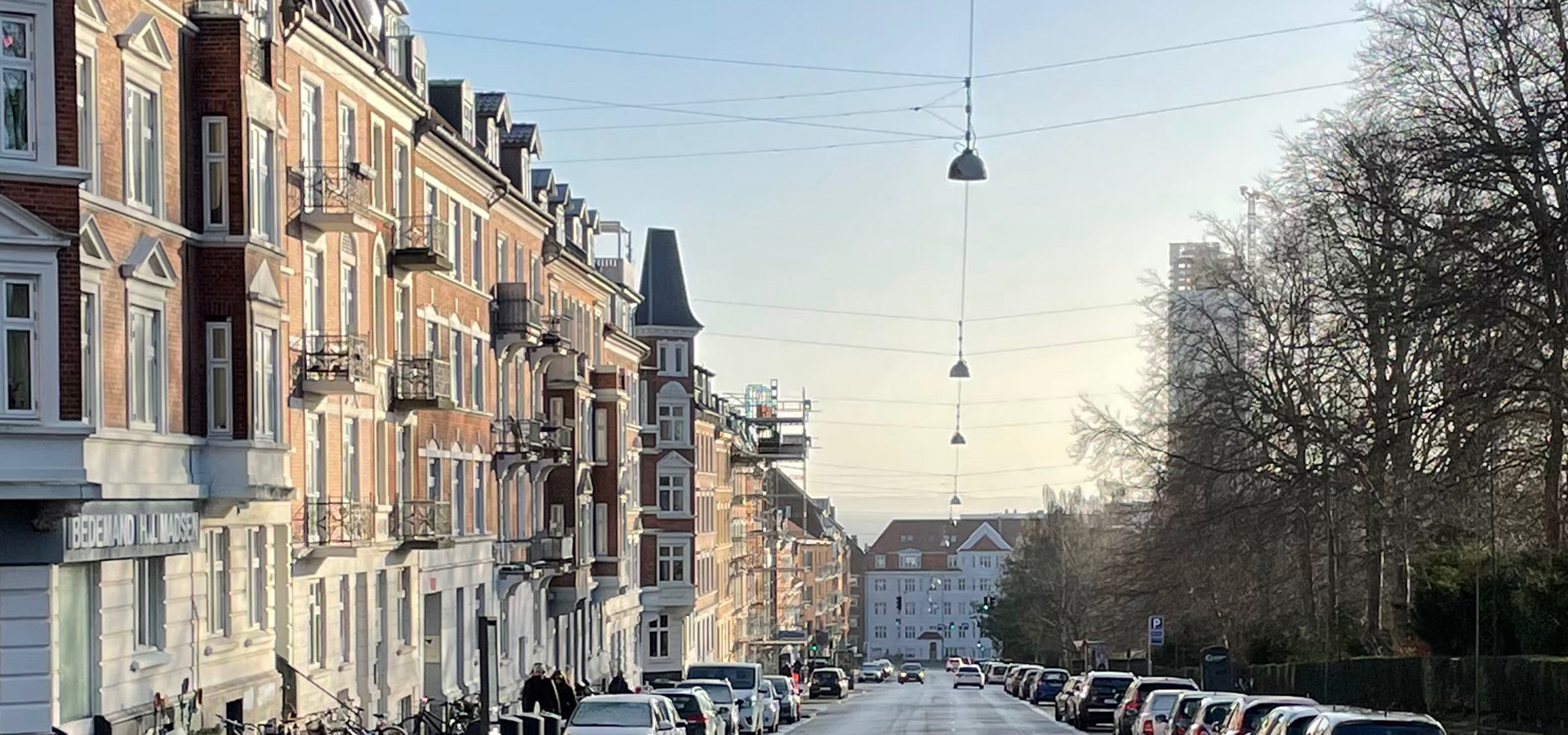 Trøjborg haveservice, havehjælp