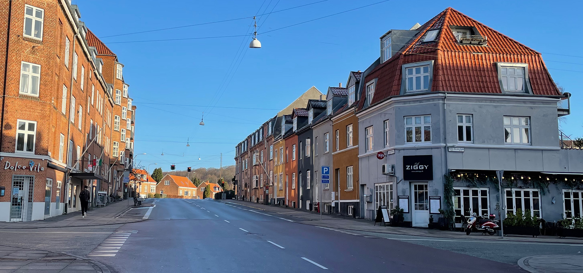 Trøjborg haveservice, havehjælp