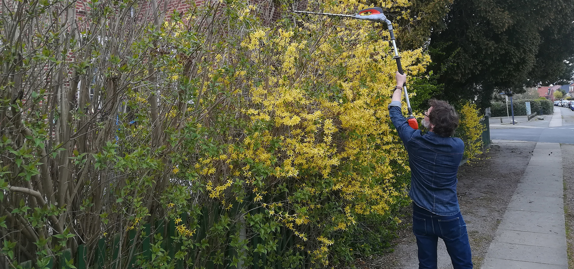 Tårnby haveservice