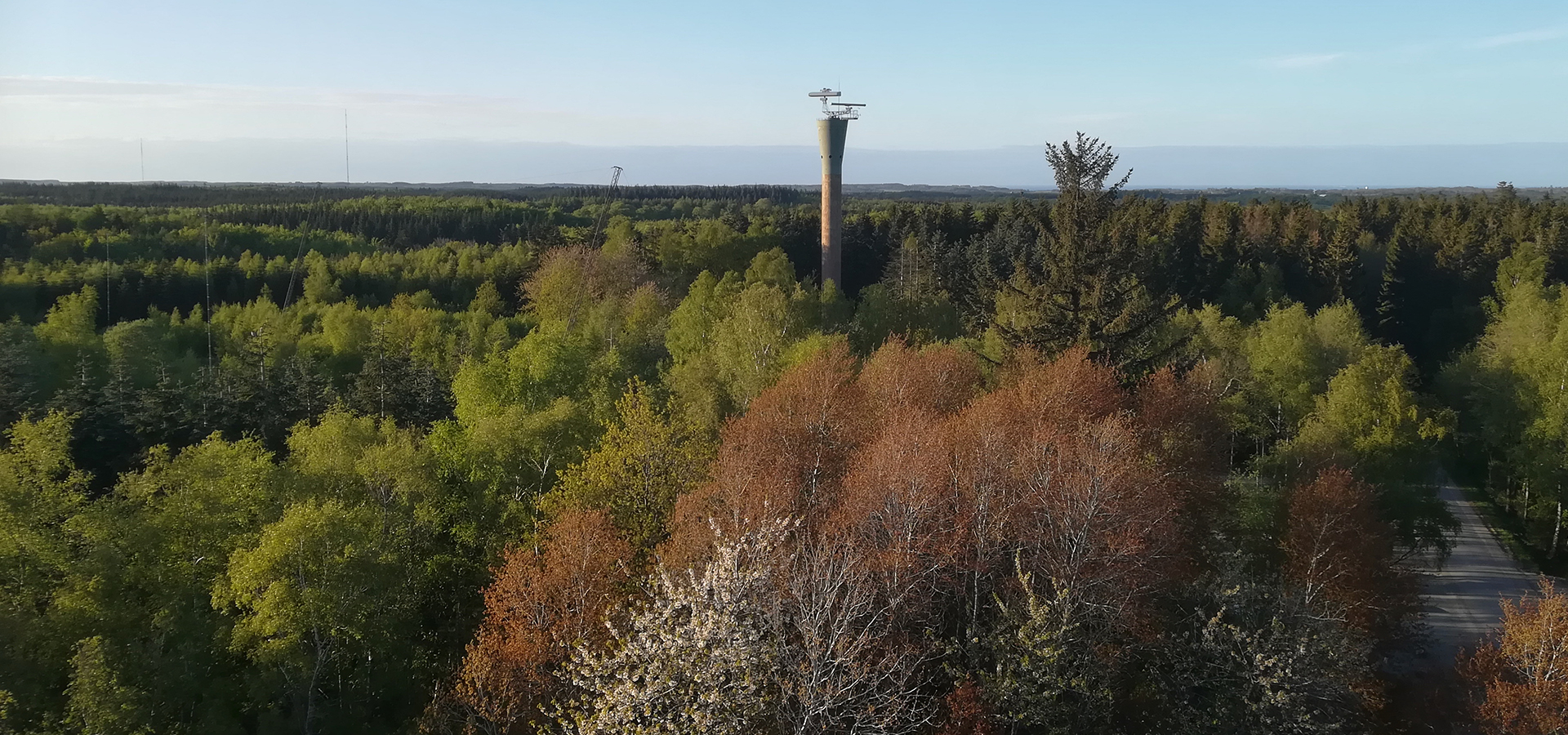 Bornholm havehjælp, haveservice