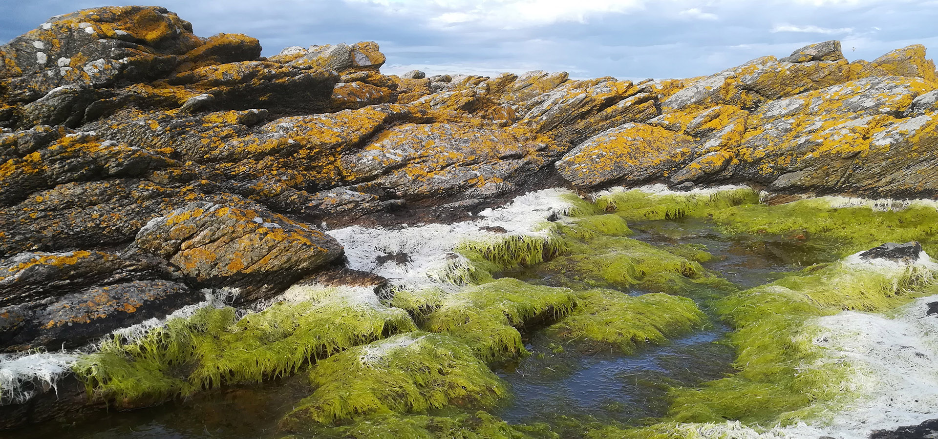 Servicehelper Bornholm