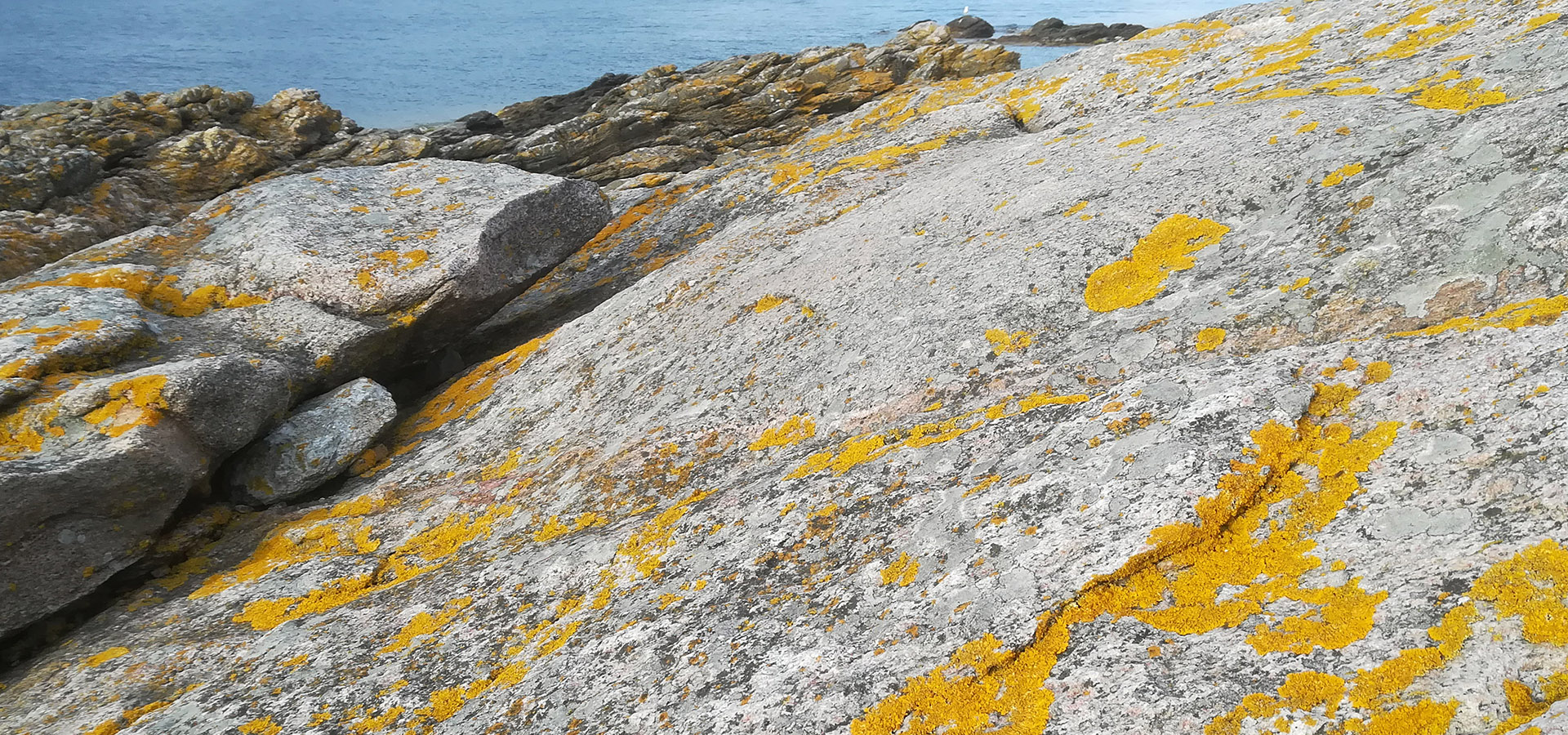 Servicehelper Bornholm
