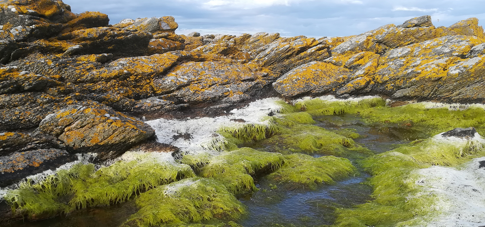 Bornholm havehjælp, haveservice