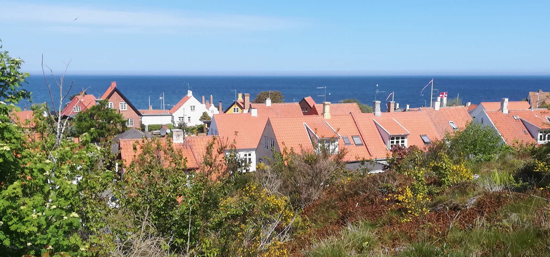 Bornholm havehjælp, haveservice