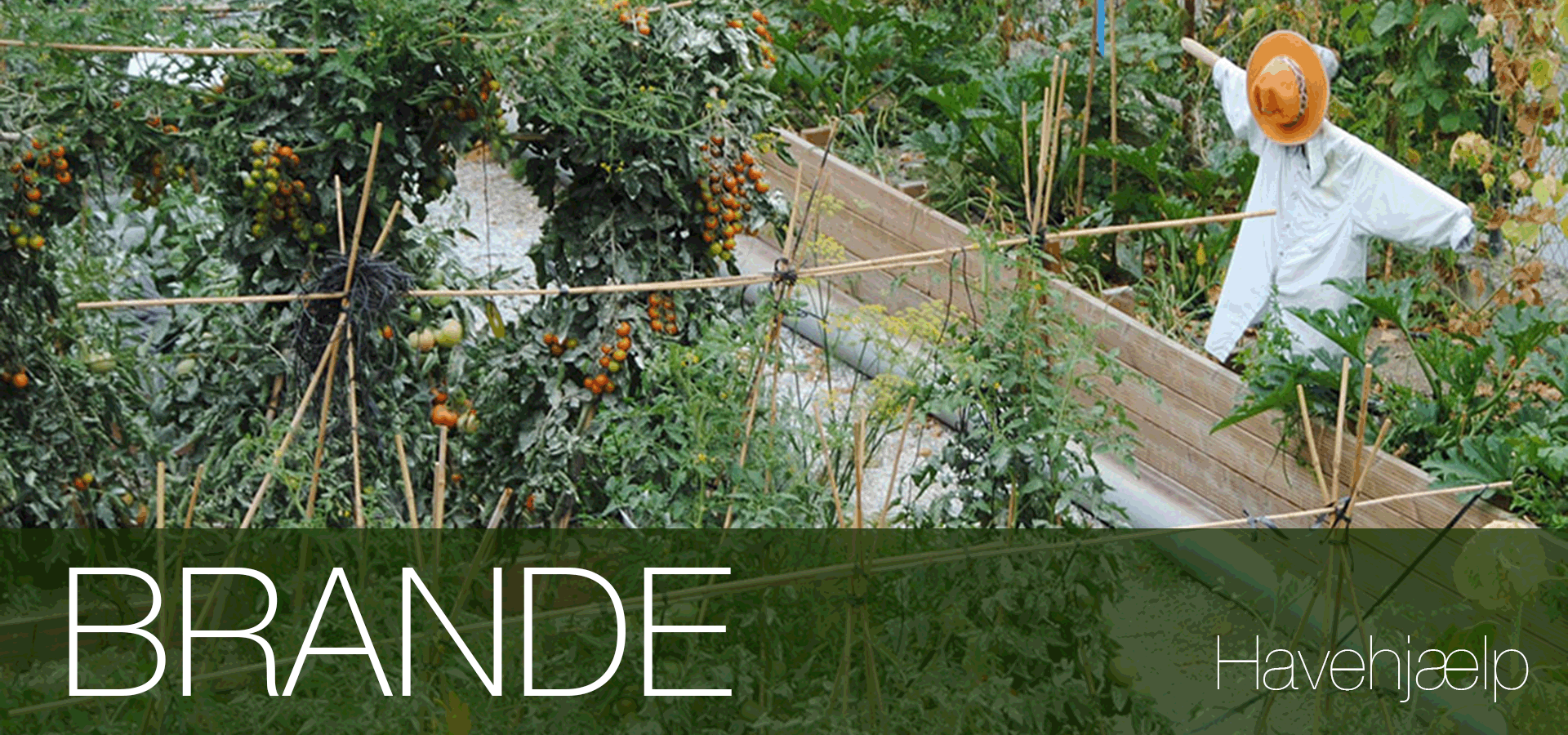 Havearbejde lokal havehjælp Brande
