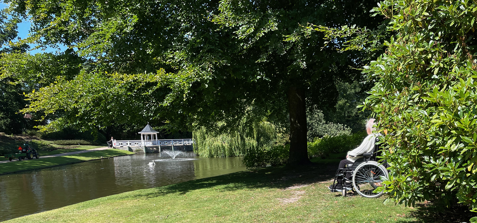 Brønderslev havehjælp, haveservice