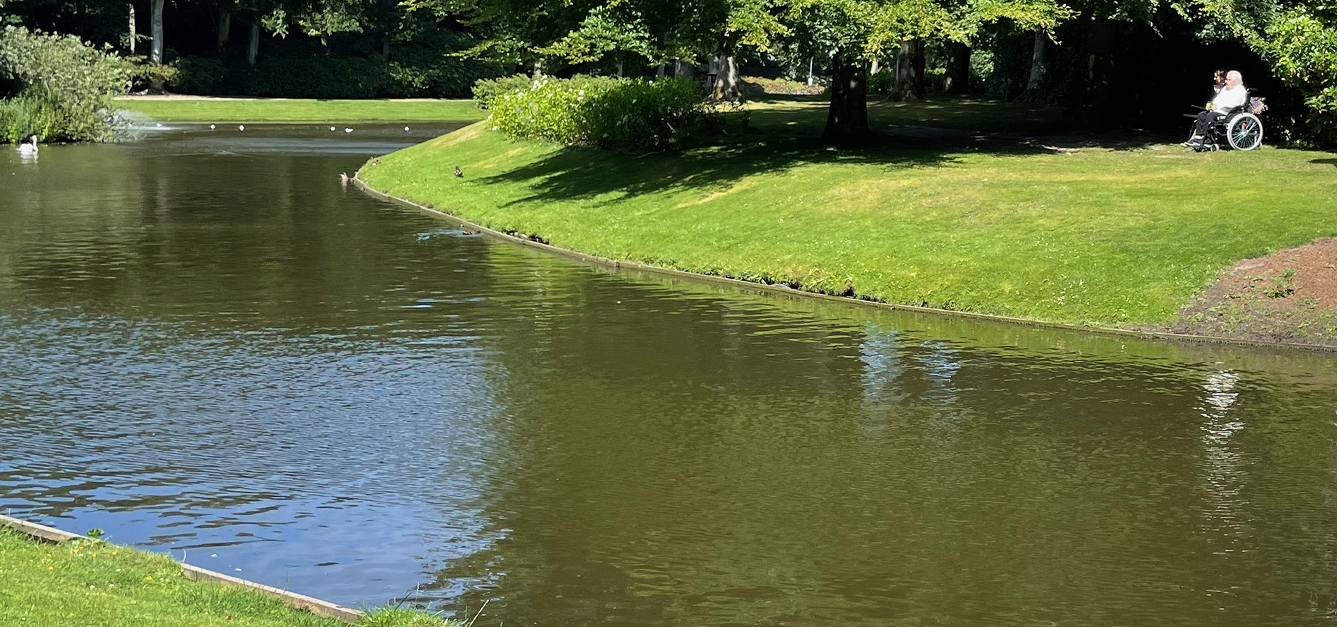 Brønderslev havehjælp, haveservice