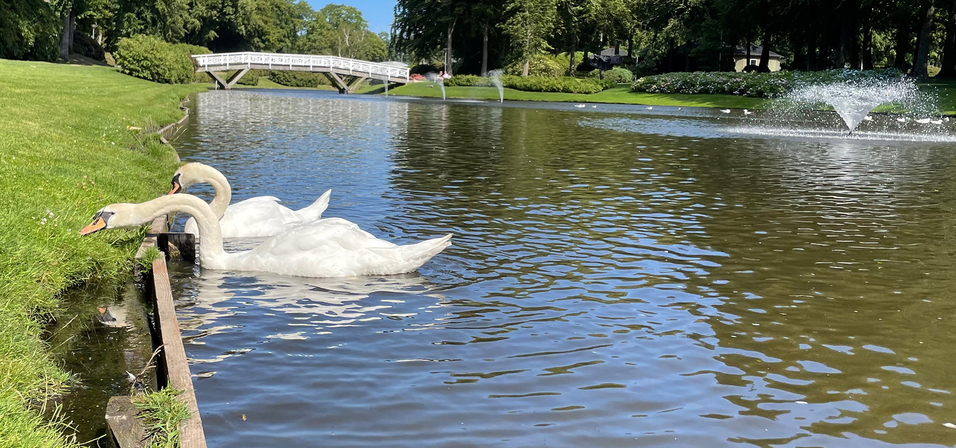 Brønderslev havehjælp, haveservice