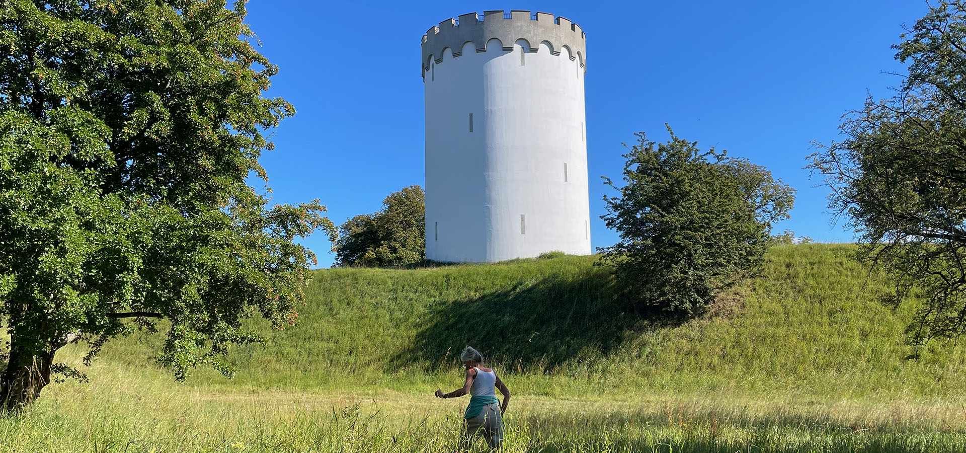Fredericia havemand
