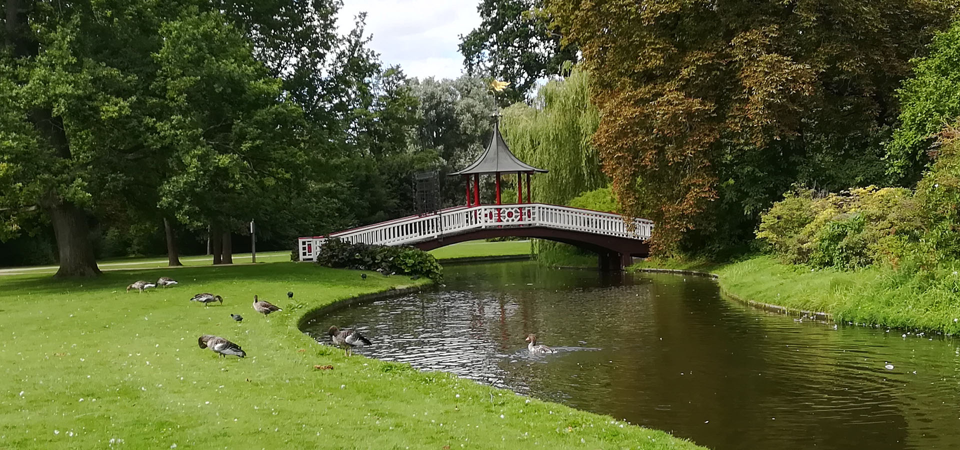 Frederiksberg hjemmehjælp