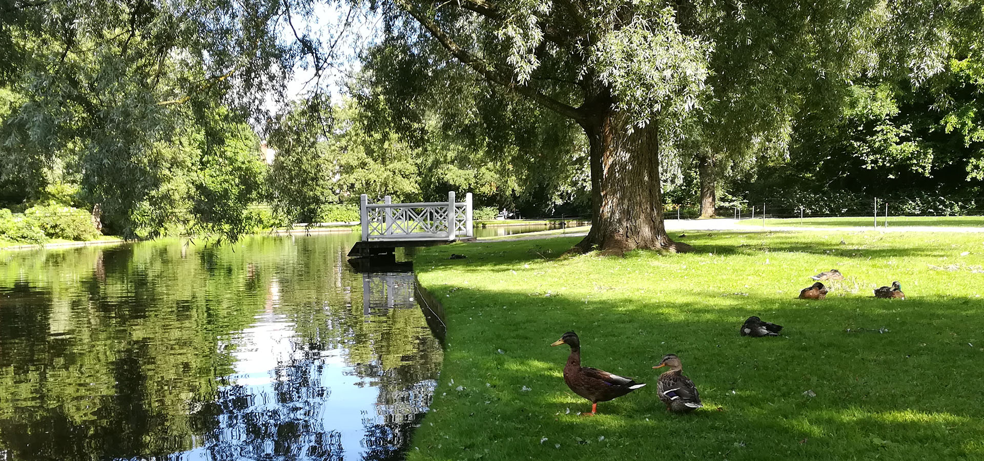 Frederiksberg hjemmehjælp