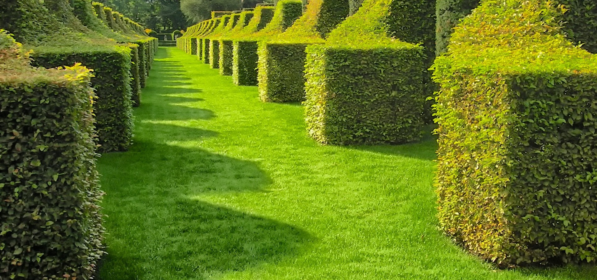 Biodiversitet, klippe hæk