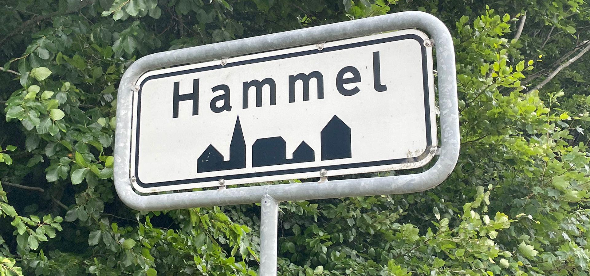 Hammel hjemmehjælp