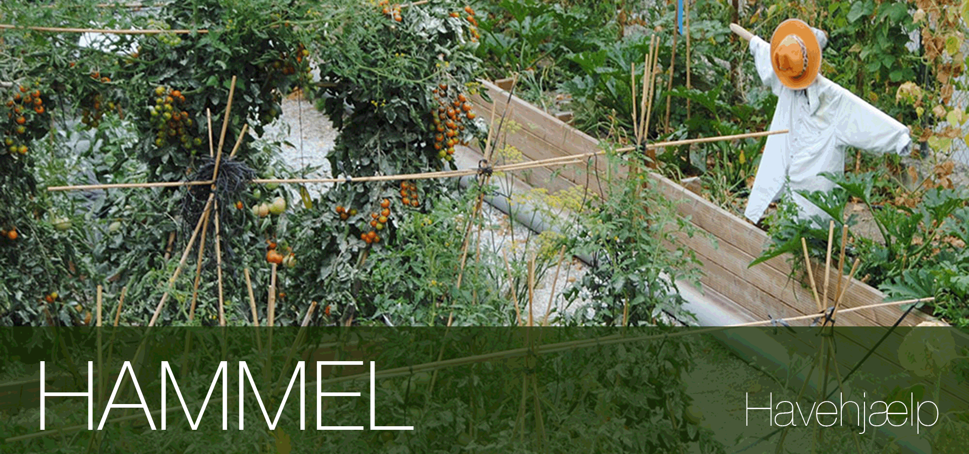 Havearbejde lokal havehjælp Hammel