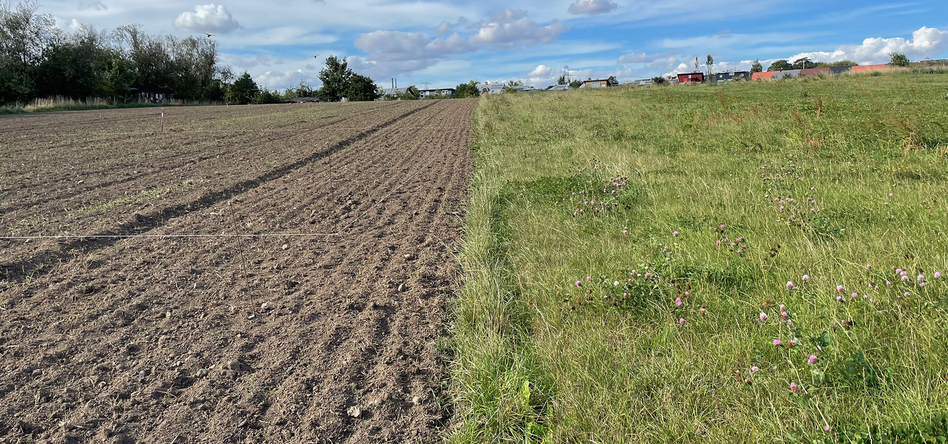 Hjortshøj rengøring