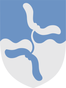 Vejen