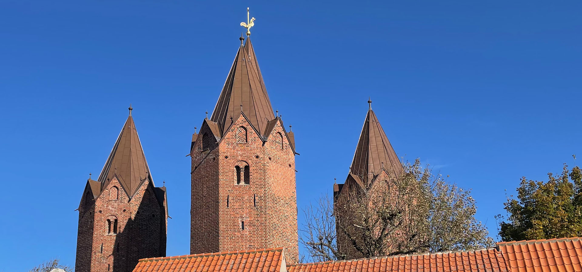 Kalundborg havehjælp