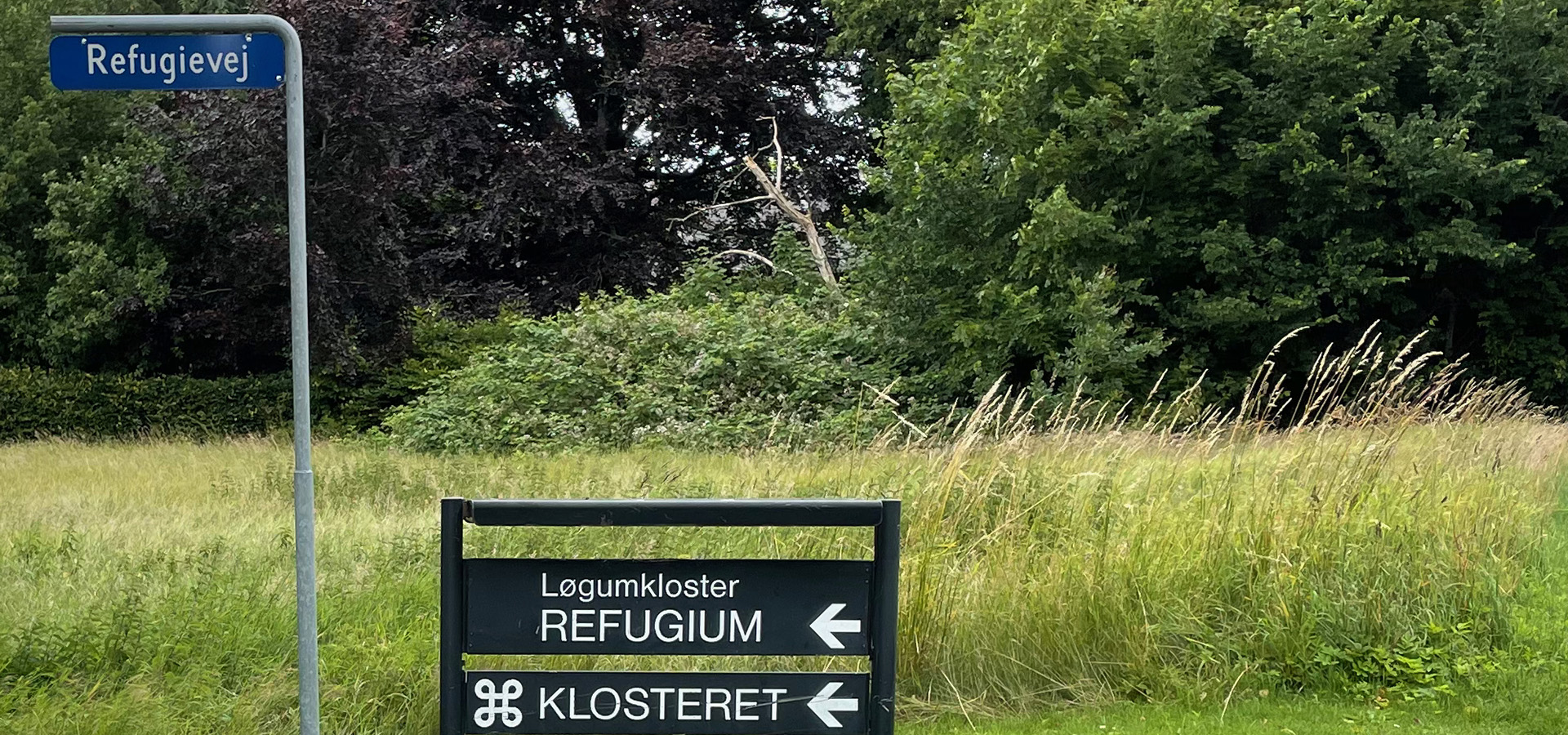 Løgumkloster haveservice