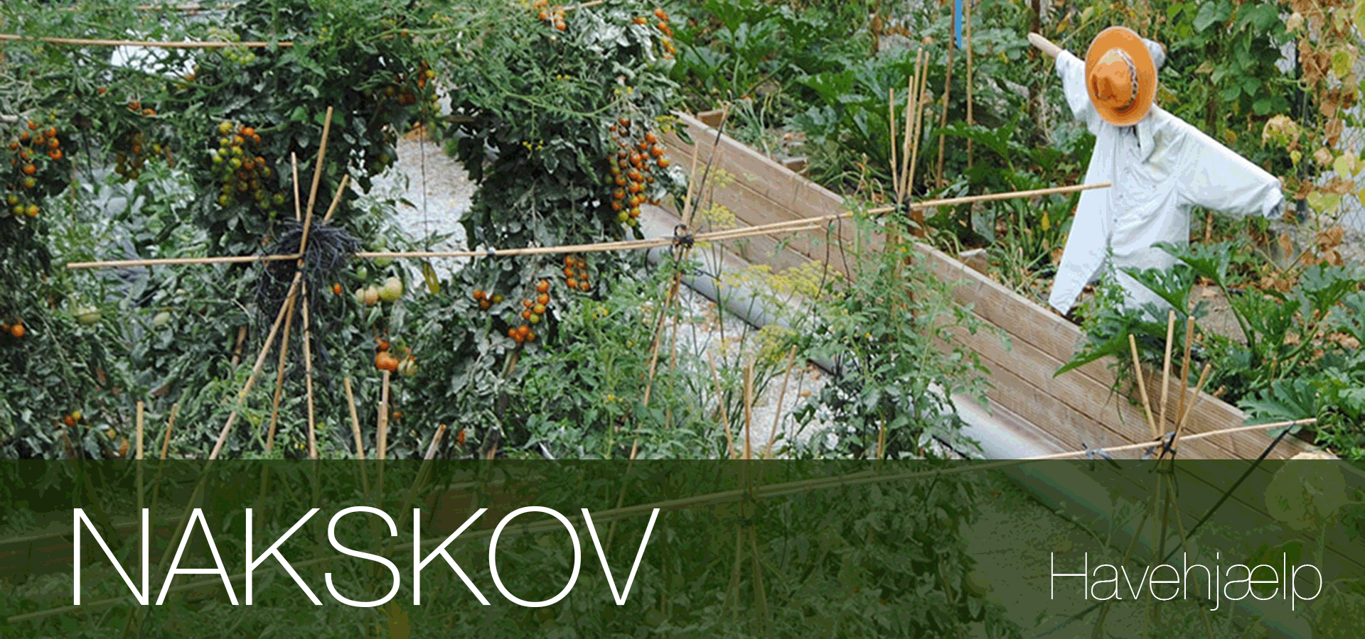 Havearbejde lokal havehjælp Nakskov