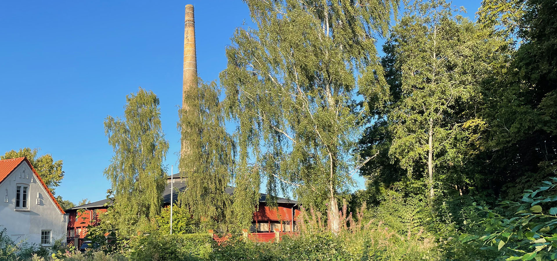 Nivå rengøring