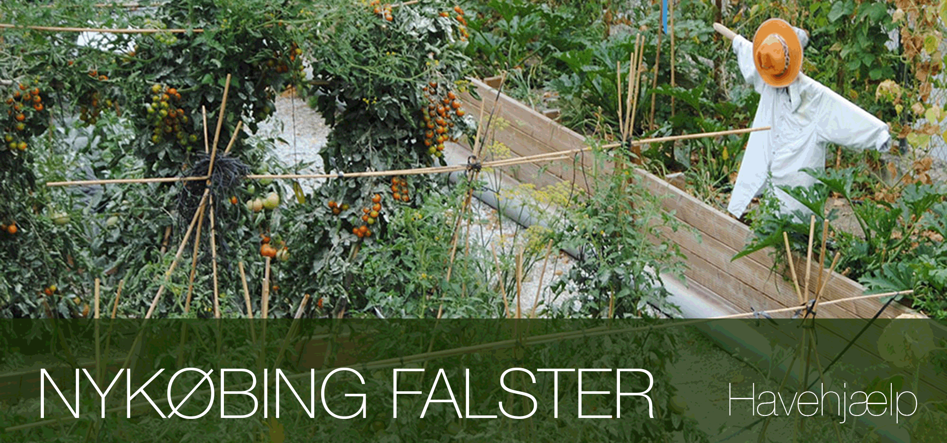 Havearbejde lokal havehjælp Nykøbing Falster