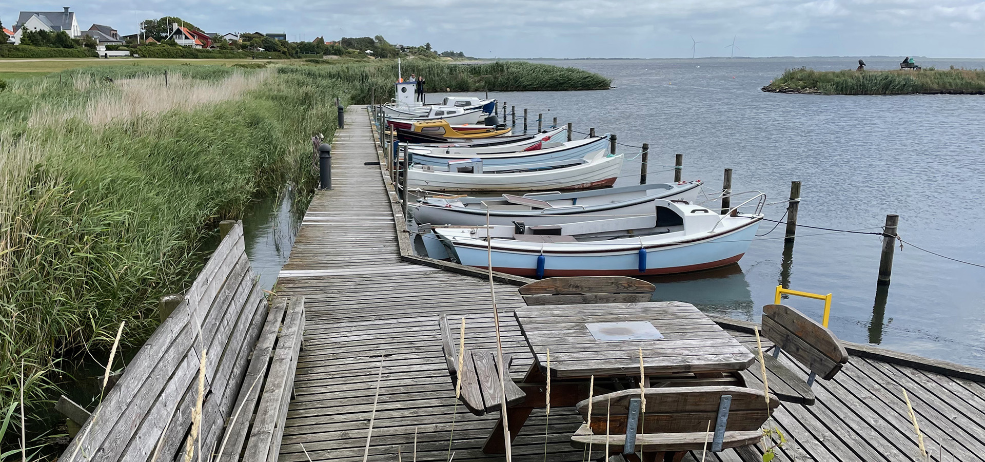 Ringkøbing haveservice