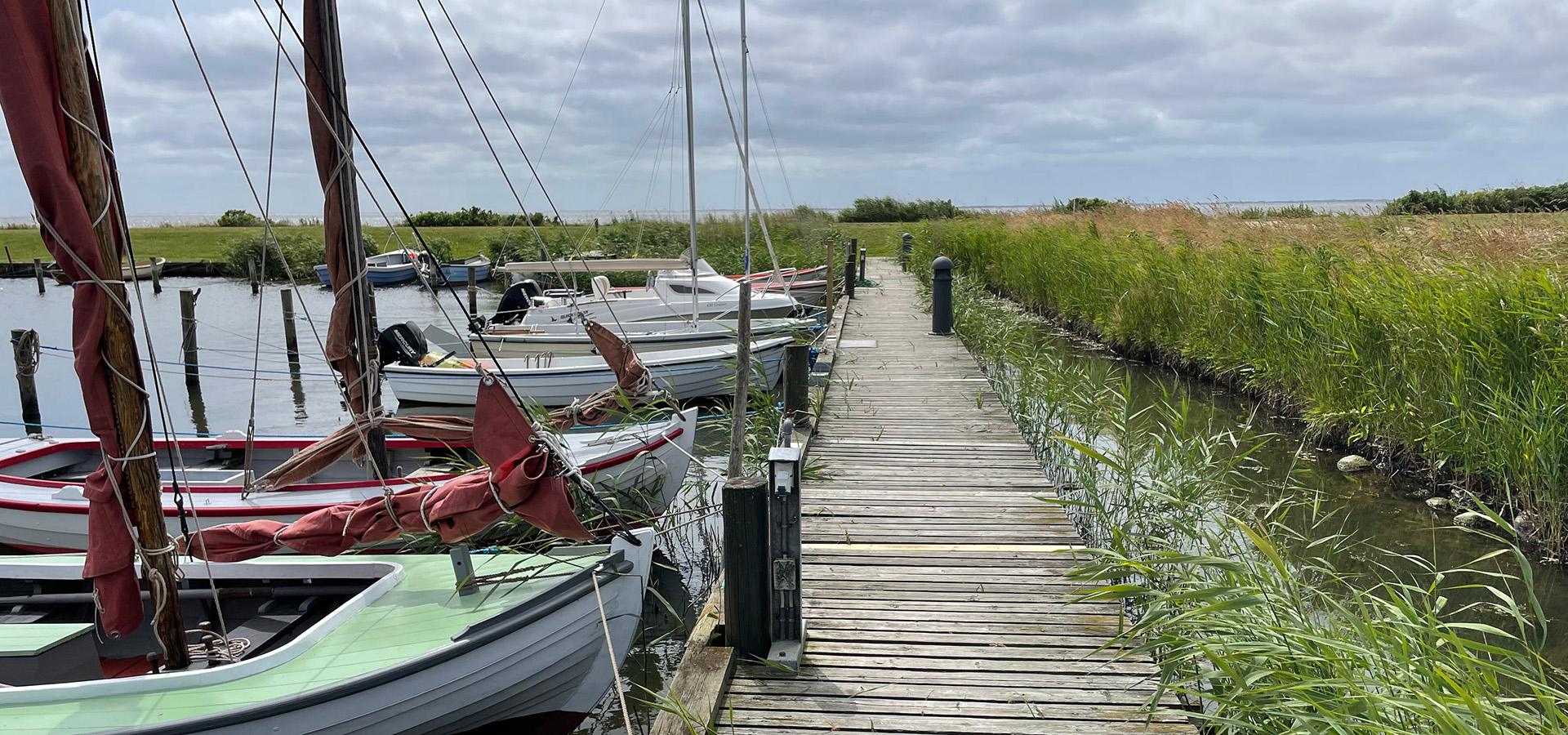 Ringkøbing haveservice