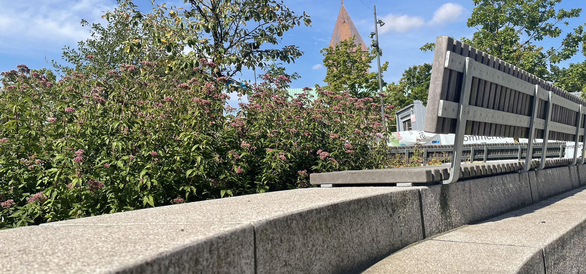 Ringsted billig lokal hjemmehjælp