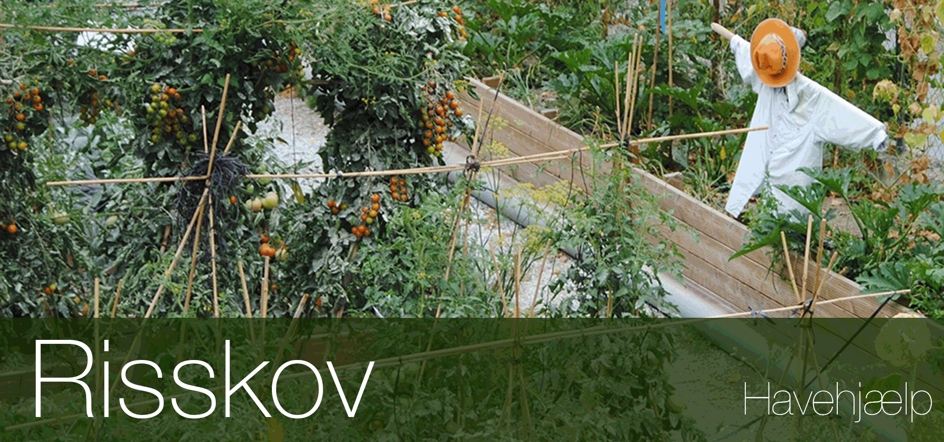 Havearbejde ⇒ Lokal havehjælp Risskov