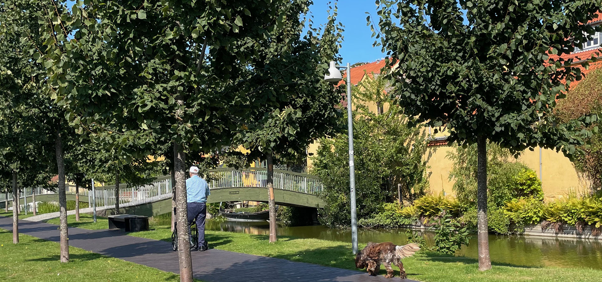 Aktiviteter for ældre