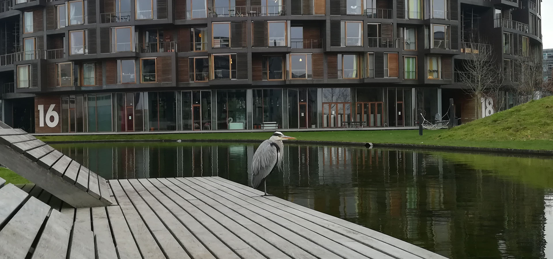 Hjemmepleje Amager