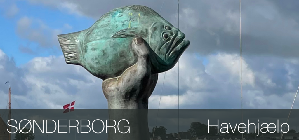 Sønderborg haveservice