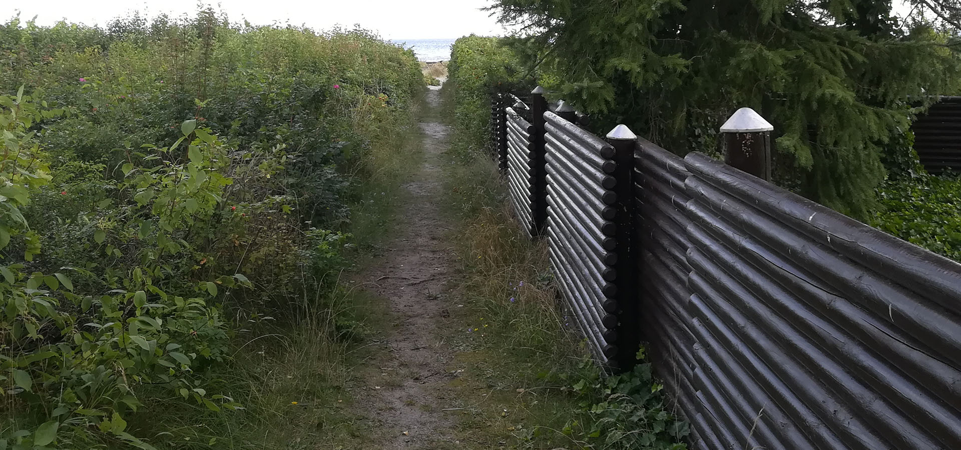 Solrød Strand Hjemmehjælp, hjemmepleje - Servicehelper