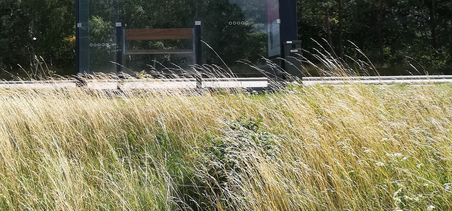 Solrød Strand Hjemmehjælp, hjemmepleje - Servicehelper