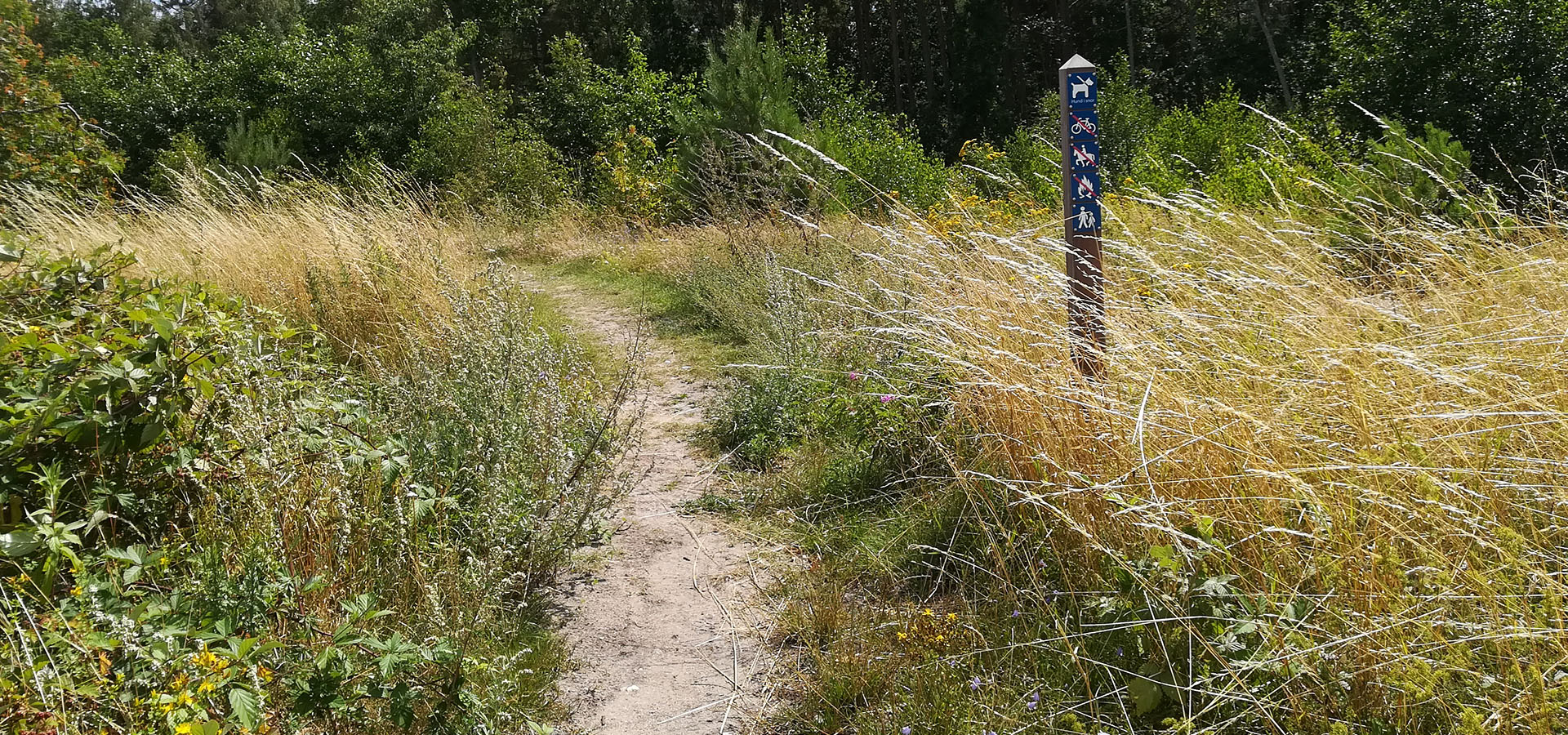 Solrød Strand Hjemmehjælp, hjemmepleje - Servicehelper