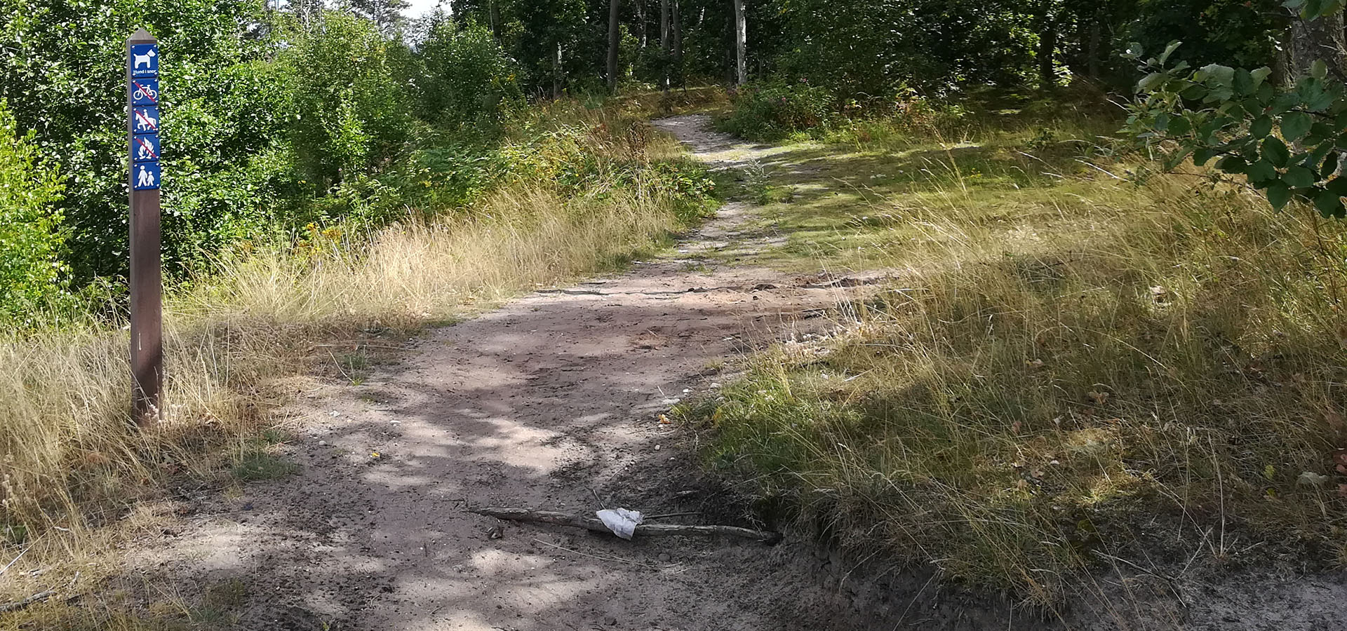 Solrød Strand Hjemmehjælp, hjemmepleje - Servicehelper