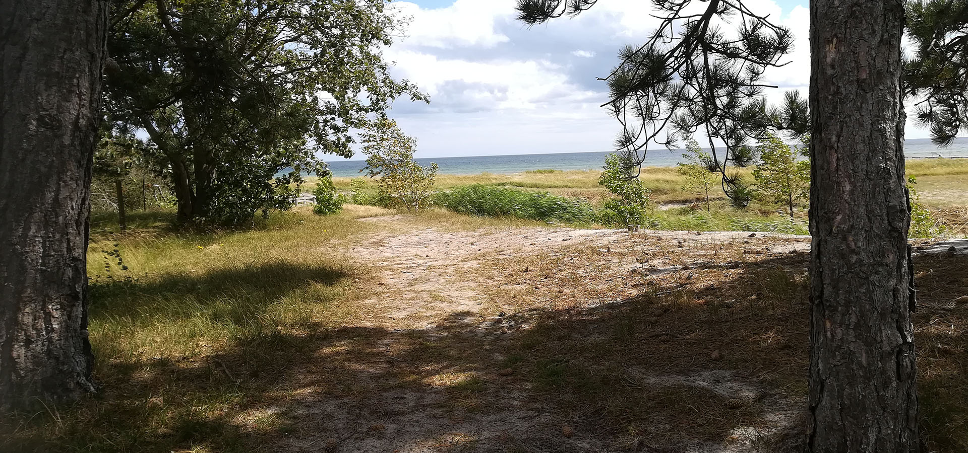 Solrød Strand Hjemmehjælp, hjemmepleje - Servicehelper