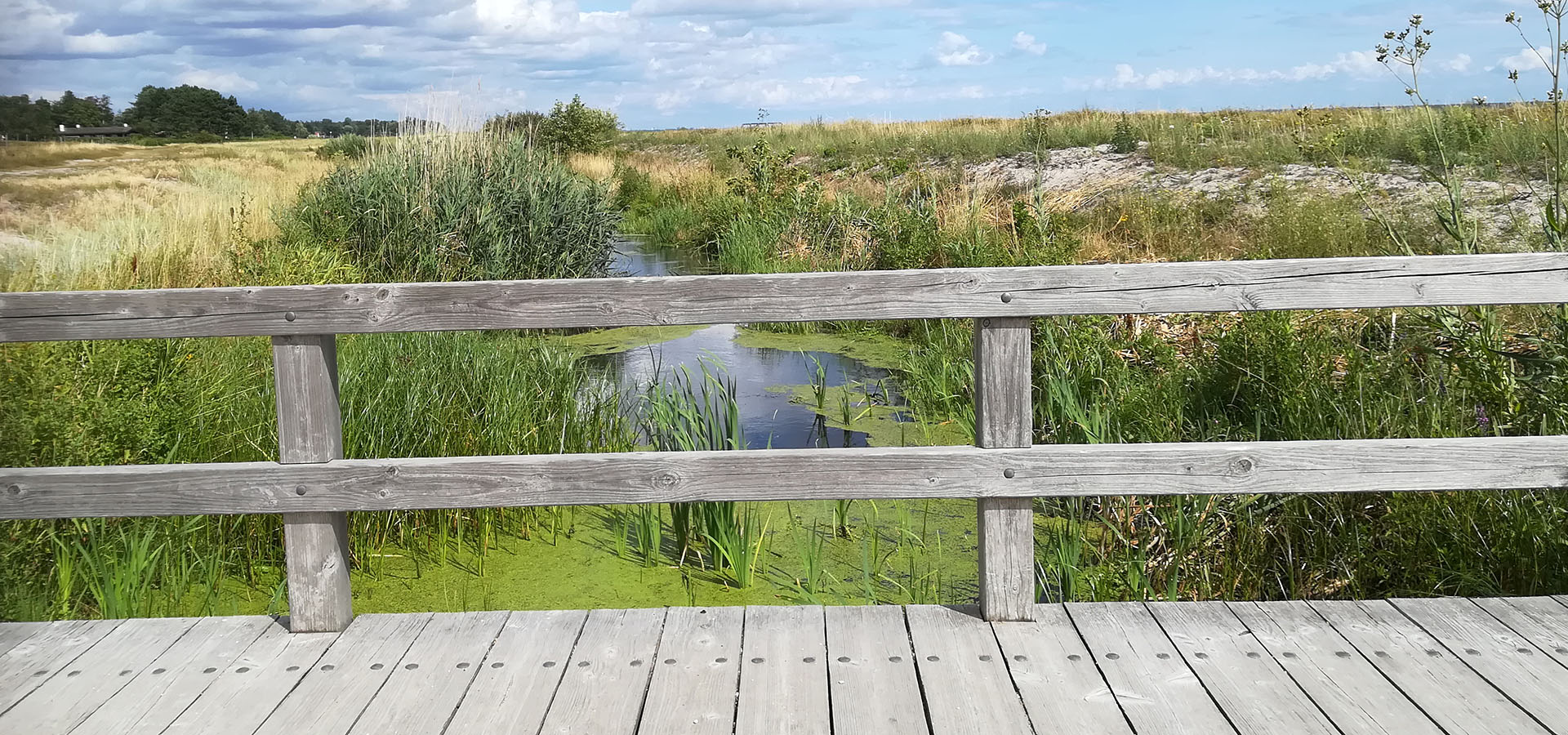 Solrød Strand Hjemmehjælp, hjemmepleje - Servicehelper