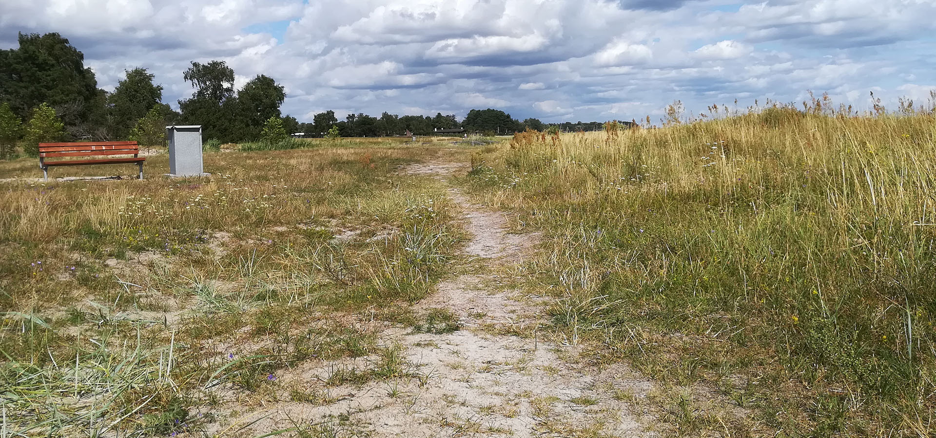 Solrød Strand Hjemmehjælp, hjemmepleje - Servicehelper