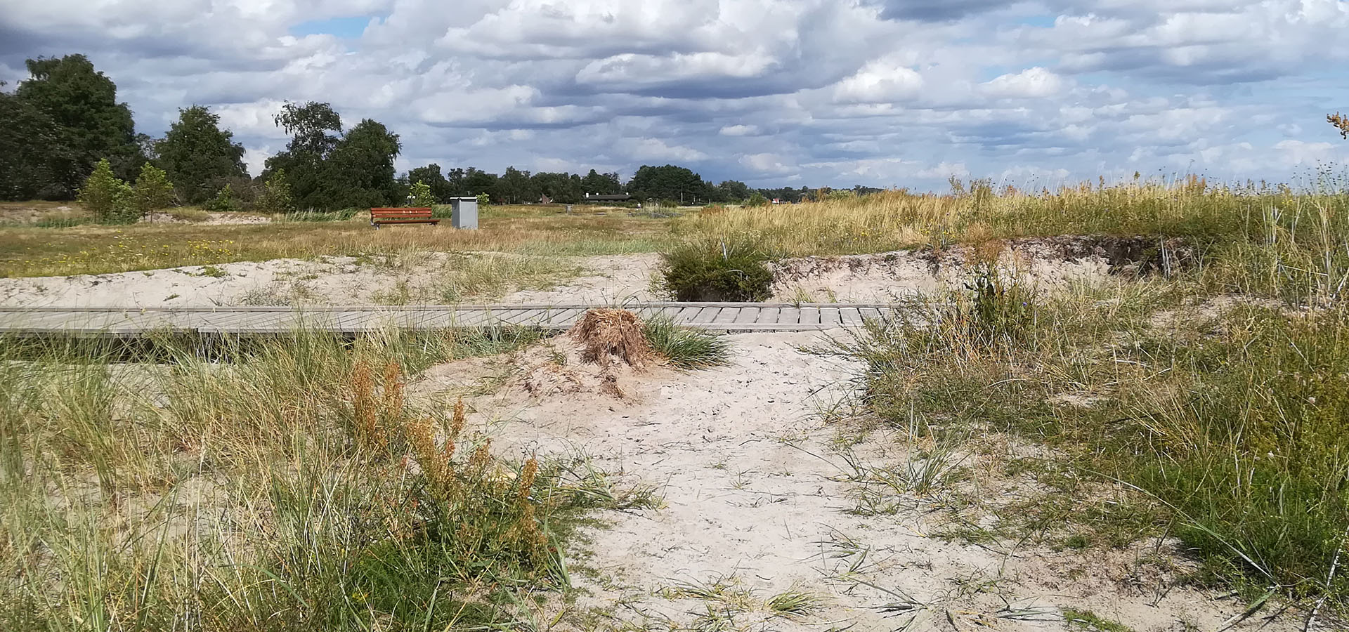 Solrød Strand Havehjælp - Servicehelper