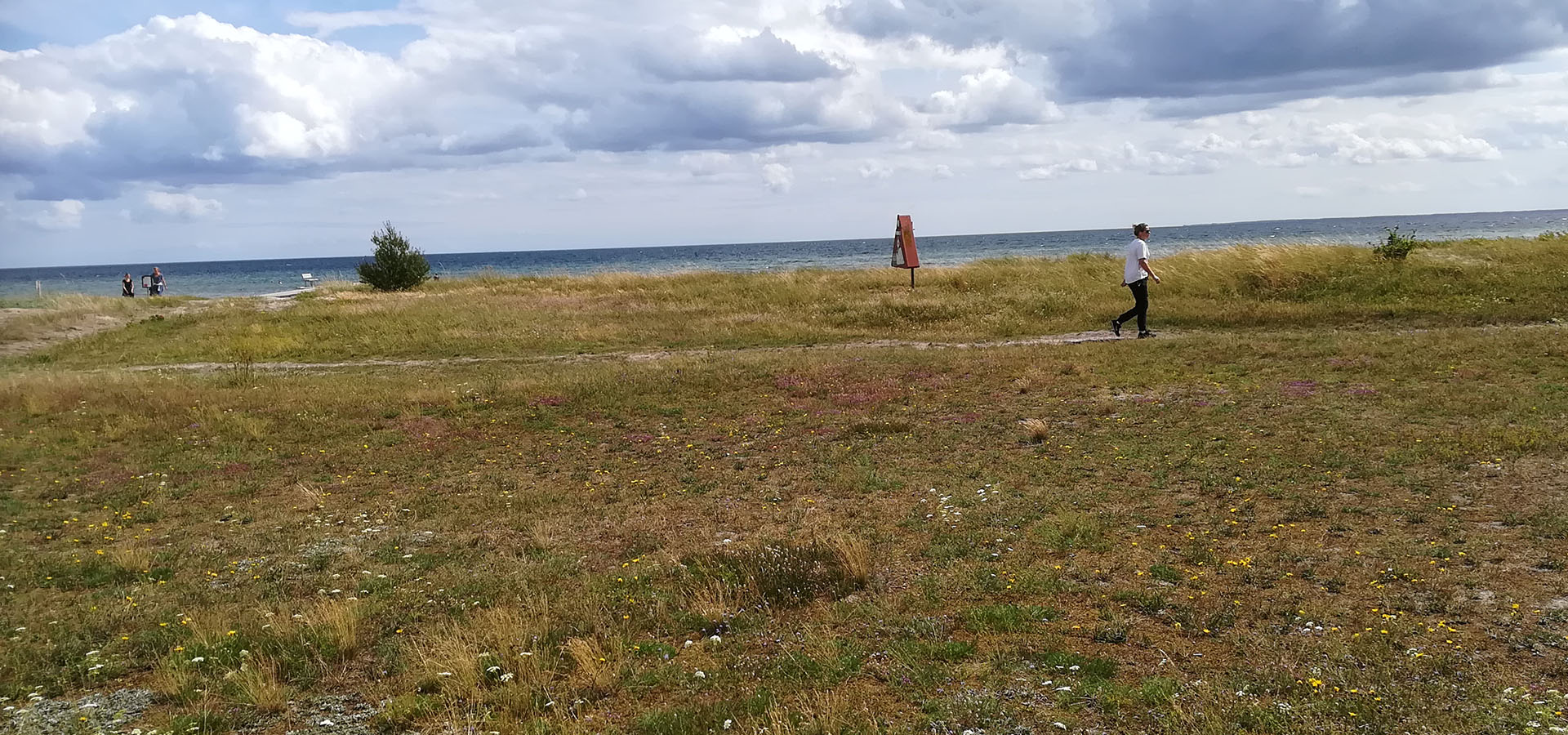 Solrød Strand Havehjælp - Servicehelper