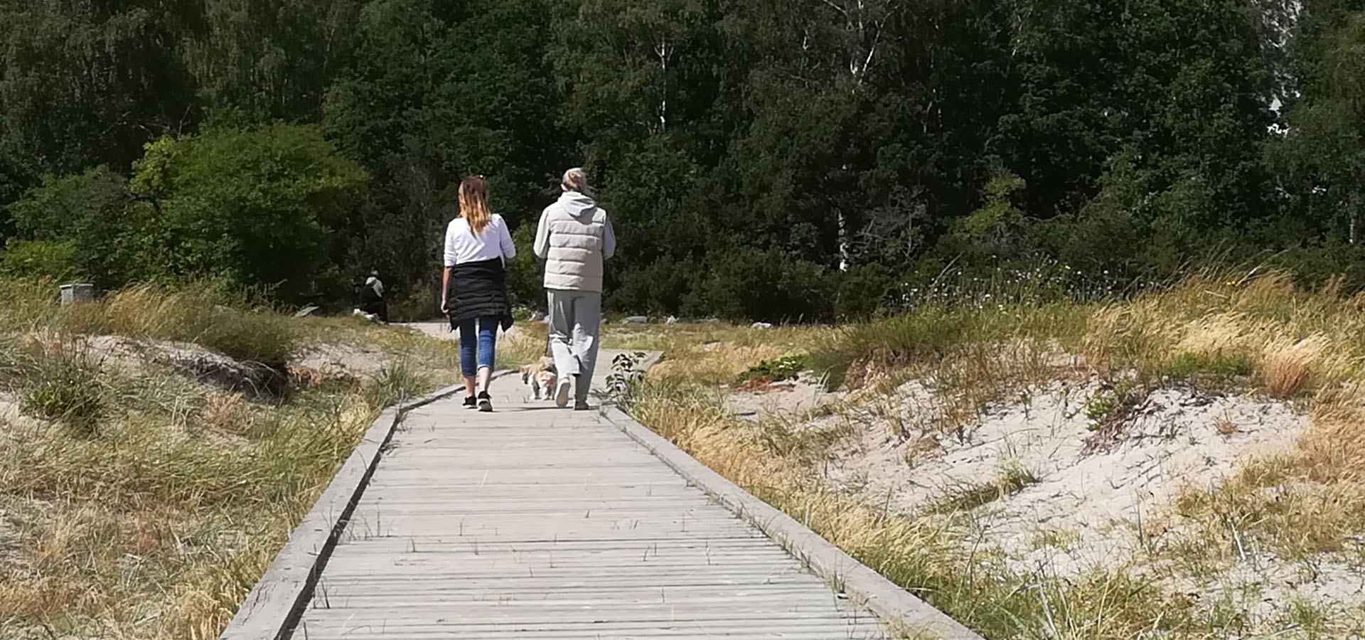 Solrød Strand Havehjælp - Servicehelper