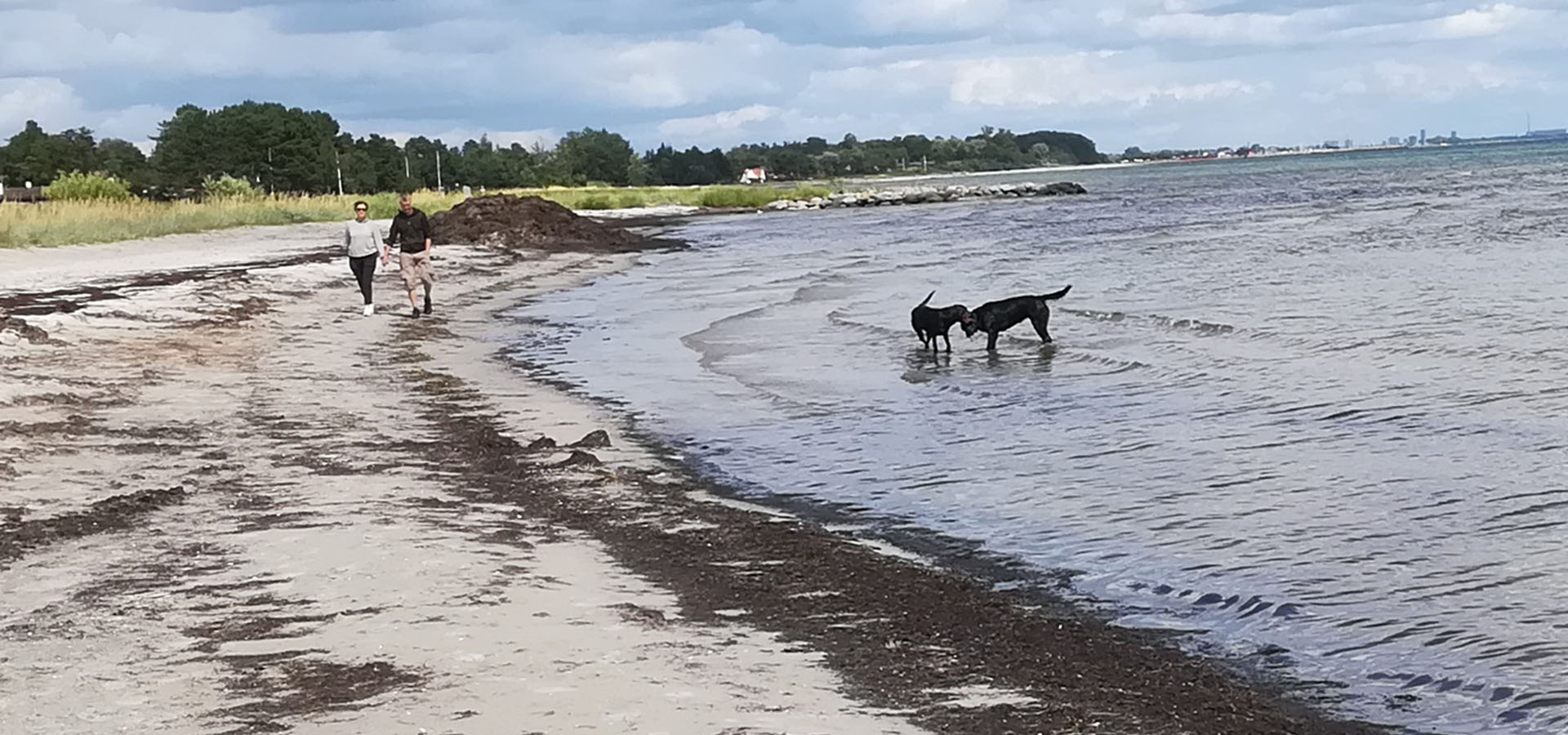 Solrød Strand Havehjælp - Servicehelper