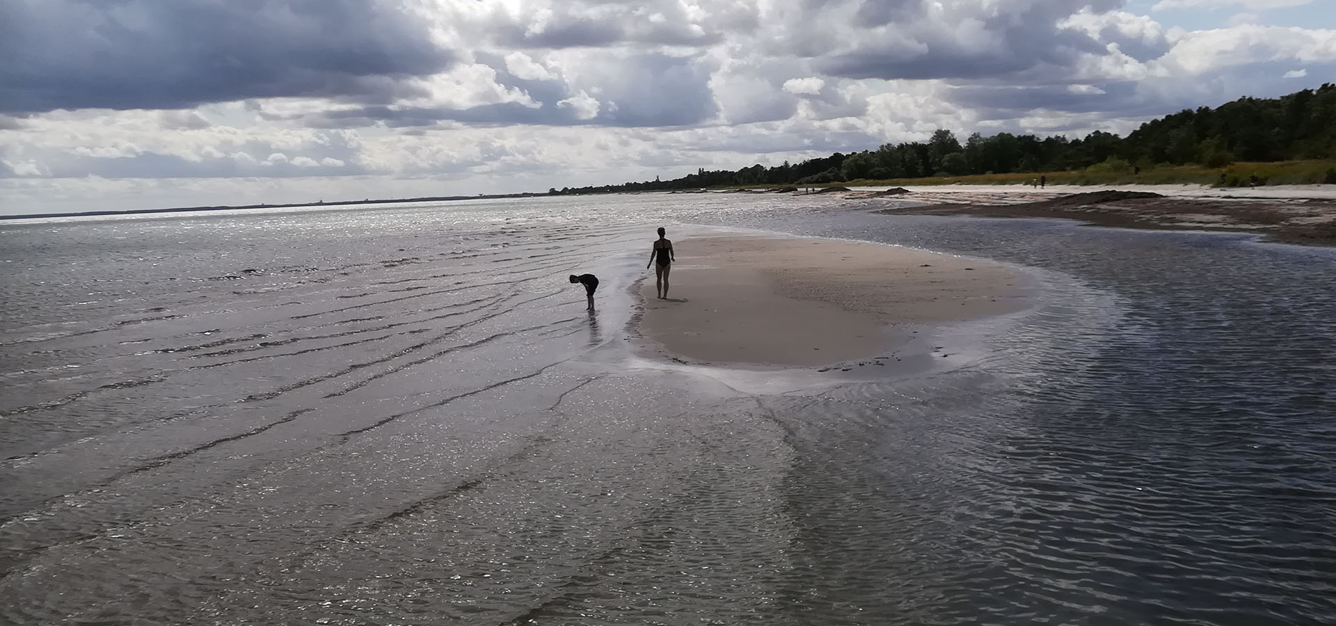 Solrød Strand Havehjælp - Servicehelper