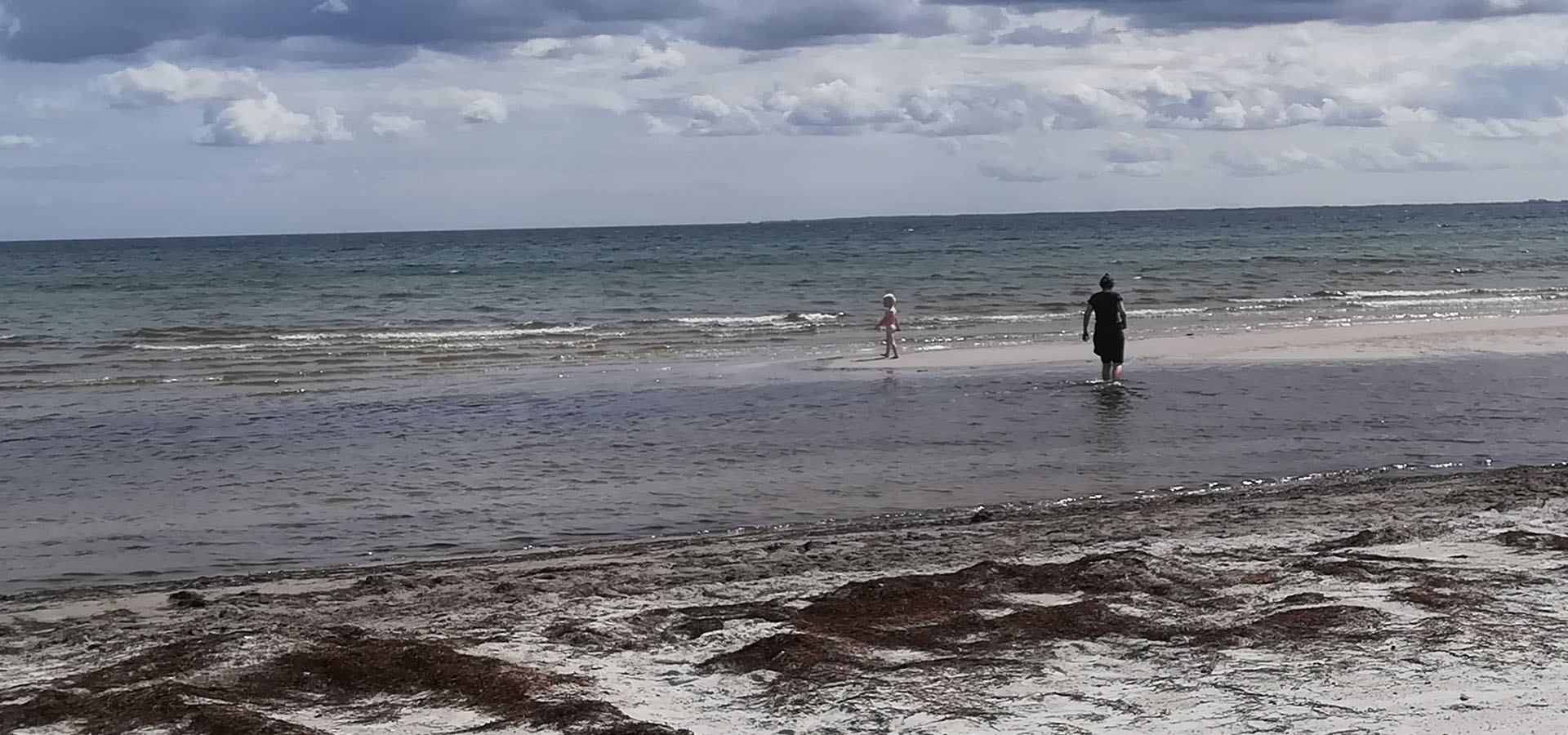 Solrød Strand Havehjælp - Servicehelper